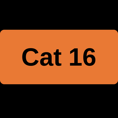 Cat 16